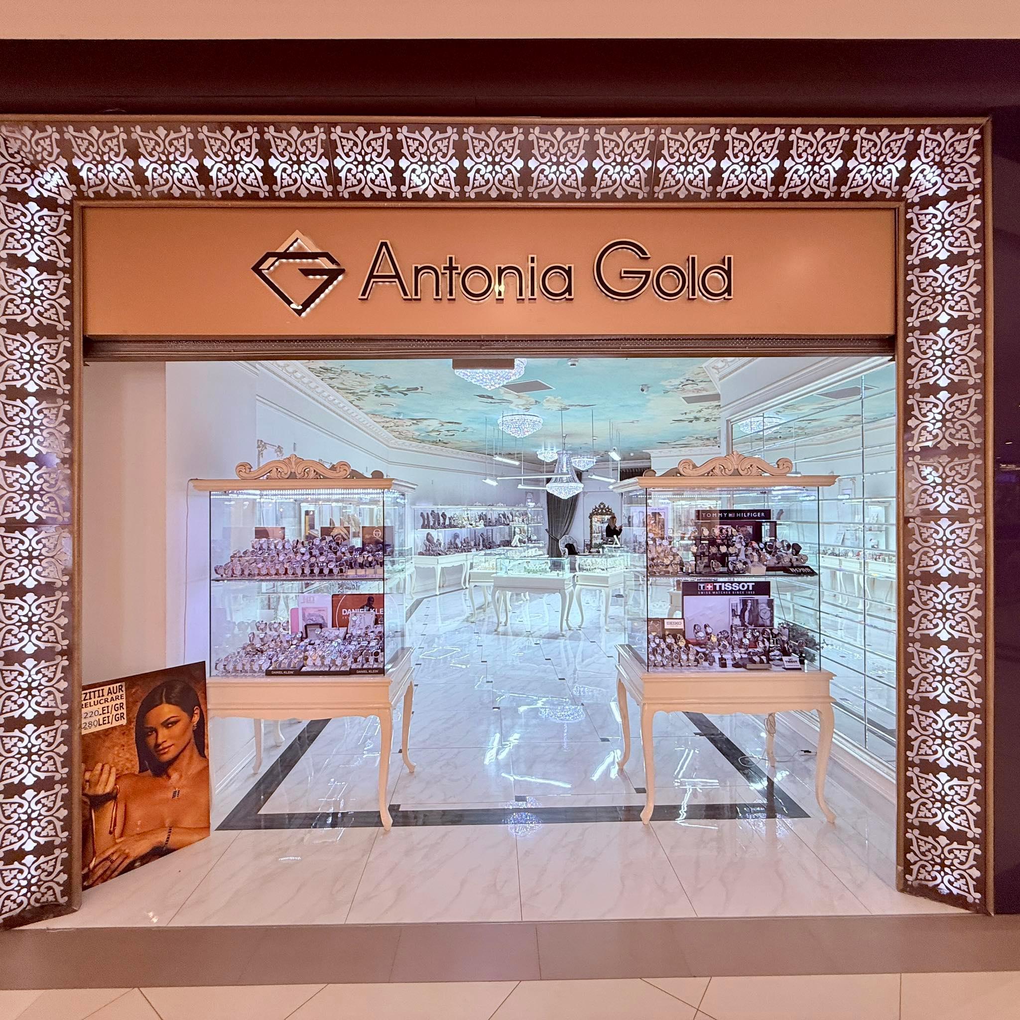 486452875_1060320329459484_5106322422497425891_n_4e1a1366-06f3-41c8-acec-97337a58bf0b - Antonia Gold